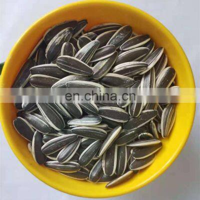 TN Sell Low Priced Chinese Snack Sunflower Seeds/sunflower Seeds Kernels Raw Sprouted Nuts photo-2