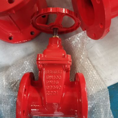 bs5163 gate valve pn16