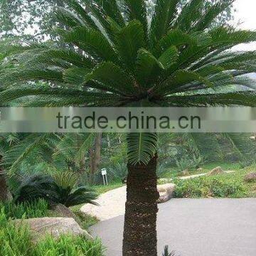 the cheap artificial outdoor plant artificial green plant