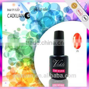 Gel for Nail Art Designs and Equipment for Sale for Christmas Cat Eye Color Gel Nail Polish photo-4