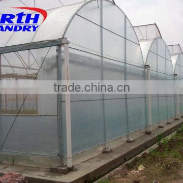 Greenhouses Planting Vegetables Exports To Sudan