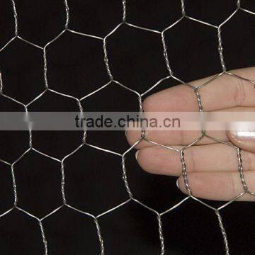3'*100' Hot dipped galvanized Hexagonal Wire Mesh/Chicken wire netting