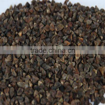Buckwheat photo-2