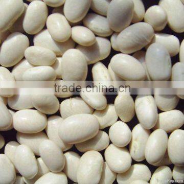 Dried Japanese/Medium/Long White Kidney Bean