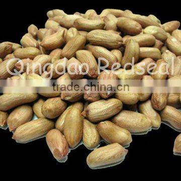 new crop of Peanut kernels