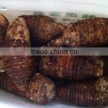 Fresh Chinese Taro for Sale photo-2