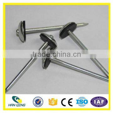 Hot Dipped Galvanized Roofing Nail With Ring Shank photo-4