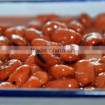 Canned Broad Beans Canned Fava Beans photo-2