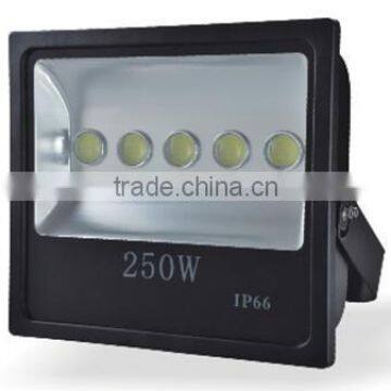 2016 Europe Outdor 250W IP66 Fashion design led Flood Light