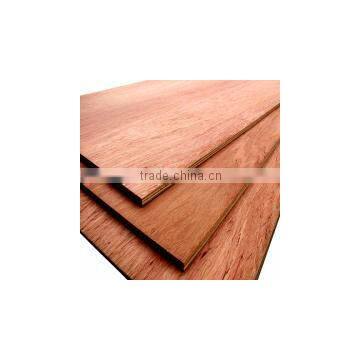 Quality Bintangor Veneer commercial Plywood MR Glue