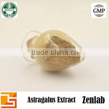 Hot Selling High Quality Polysacchrides 90% Astragalus Extract