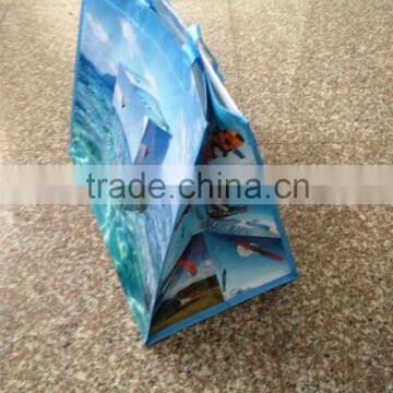 OEM &ODM Available Reusable PP Woven Bag,China PP Woven Bag,Packaging Bag, Packing Bag