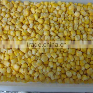 frozen whole sweet corn kernels with HALAL, KOSHER certificates