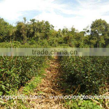 Black Tea Gift Box 400gr photo-6