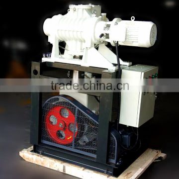 Customizable Portable Roots Pumping Set, Lobe Element Vacuum Pump