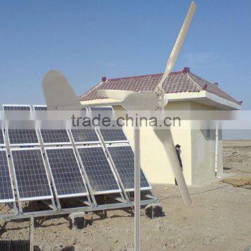 300W Horizontal Wind Generator 12v 24v