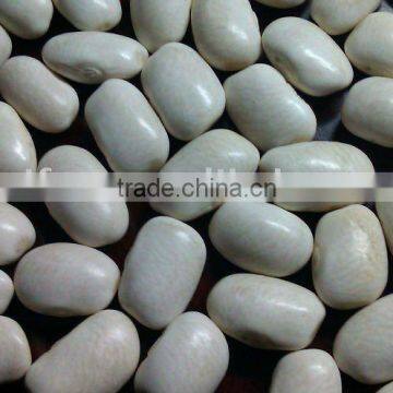 Great Northern Beans( Medium white kidney bean, 2011 crop, Heilongjiang origin, Hps)