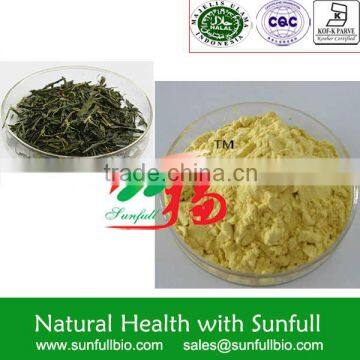 Instant Green Tea Powder