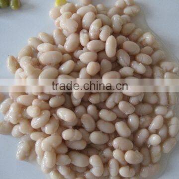 Canned White Kidney Beans in Brine 400g High Quality