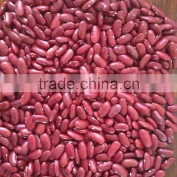 Dark Red Kidney Beans