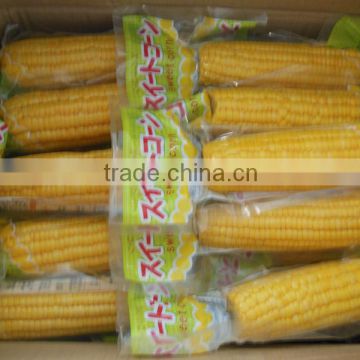 vacuum sweet corn on cob(2014 new crop)