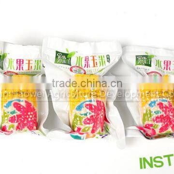 Cut of Sweet Corn Cob With Plastic Vacuum Packed photo-6