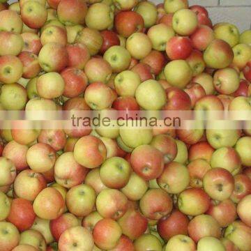 2012 red gala apple price