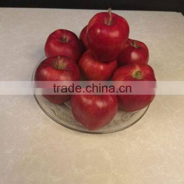 2016 New Crop New Season Huaniu Apple Fresh Apple China Gansu Tianshui Apple photo-6