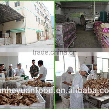 Good Quality Canned Shiitake Mushroom photo-4