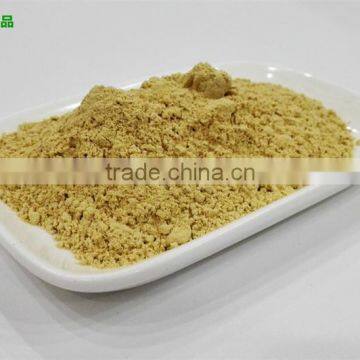 Dried Balsam Pear Powder / Dried Bitter Gourd Powder photo-4