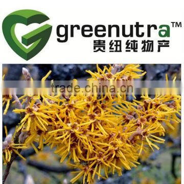 Hamamelis Extract