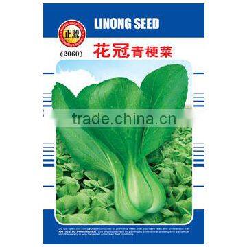 Good productive chinese cabbage seeds wholesale