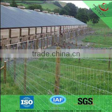 2016 new product cheap field fence