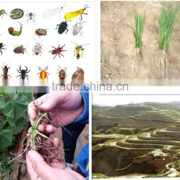 China Supplier Liquid Root Organic Fertilizer for Agriculture photo-4