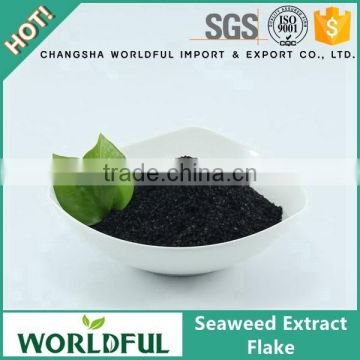 Sargassum ascophyllum nodosum seaweed extract, supply flake of seaweed extract