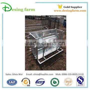 Sheep Livestock Farming Equipment photo-2