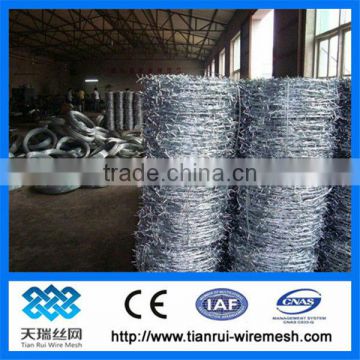 high quality barbed wire/barbed wire fence design /high quality double strand barbed wire