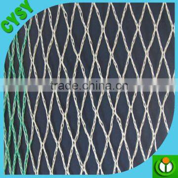 Polythene Knotless Net---Anti Bird Net
