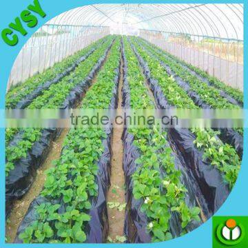 CHINA Factory Supply 100% New Material Mulch Film /mulch Film With Holes for Ground to Cover Vegetables photo-2