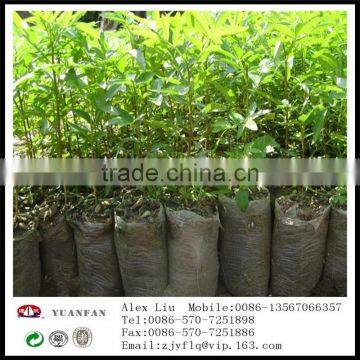 Gardening Use Non Woven Fabric photo-3