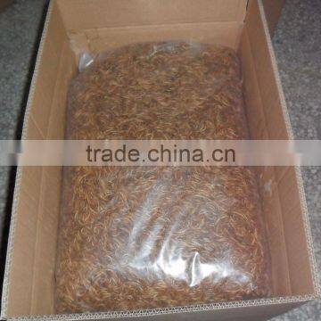 Pet Bird Food Mealworm Bird Food / Hikari Fish Food Mealworms photo-3