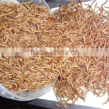 Dried Fish Food Dried Mealworms,Dry Mealworms Bird Food photo-2