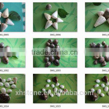 New Arrival Top Sale Popular Fashion Shell in 2015