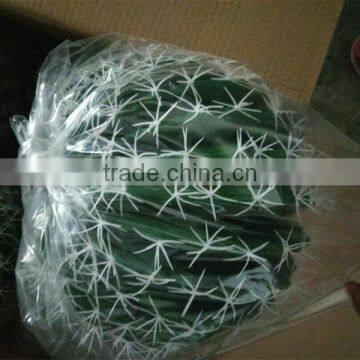 SJ3001014 High Initation Ornamental Artificial Cactus Plant/cactos for Office Decoration photo-4