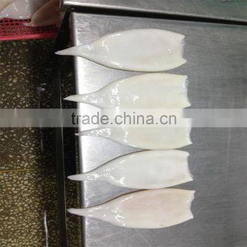 New Season Cheap Price Frozen Iqf Squid Tube U5 U7 U10 photo-5