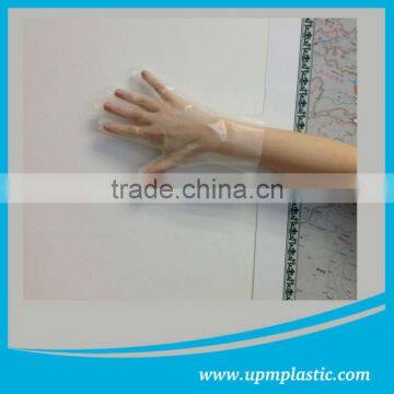 Eco-friendly Food Handling Clear Polyethylene Gloves photo-3