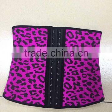 Factory Cheap Discount XS-6xl Newest Women Underwear Plus Size Waist Training Corsets Outfit photo-2