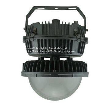 Maintenance-free LED floodLight (platform light)