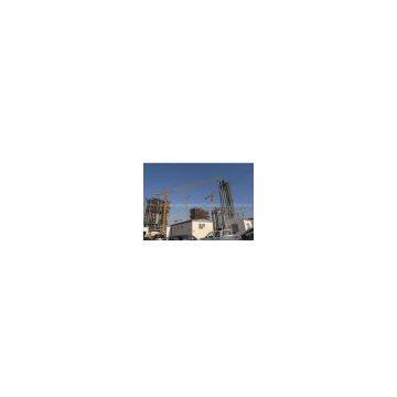 Tower Crane (TC7012) max load 10t