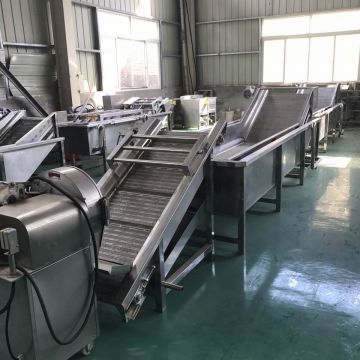 Electric Motor Fruit Vegetable Cleaning Machine